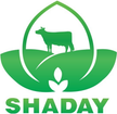 Shaday